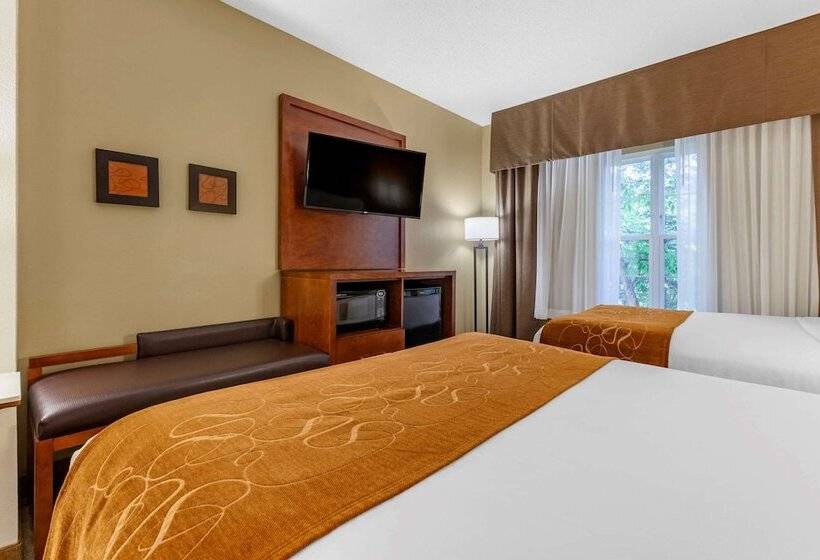 Люкс Адаптированный для Инвалидов, Comfort Suites