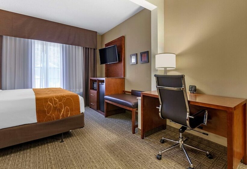 Люкс Адаптированный для Инвалидов, Comfort Suites