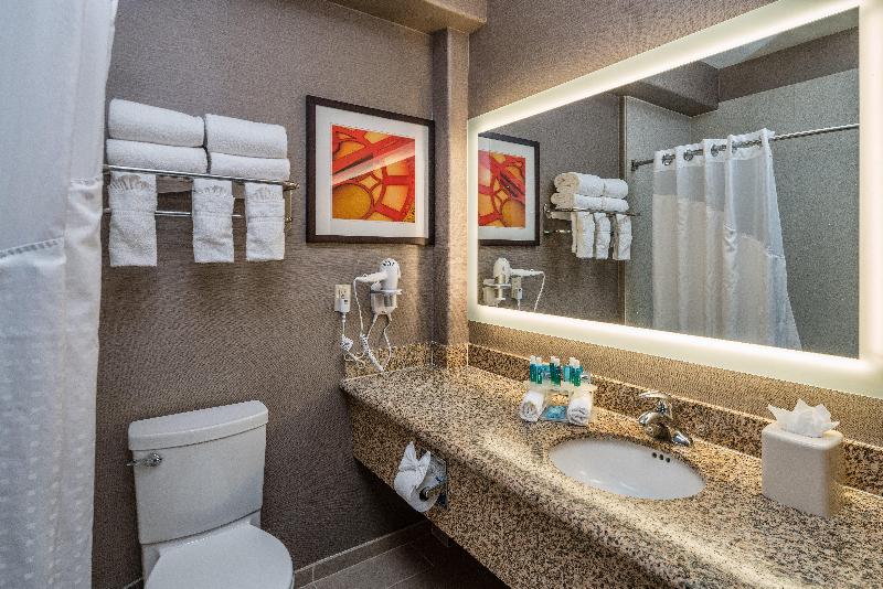 Стандартный Номер Кровать Кинг, Holiday Inn Express & Suites Santa Clara, An Ihg