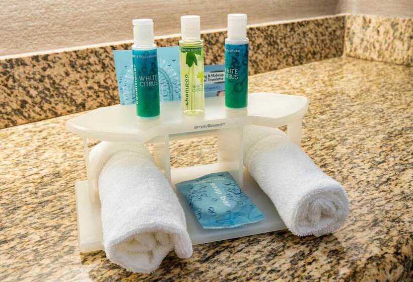 Люкс, Holiday Inn Express & Suites Santa Clara, An Ihg