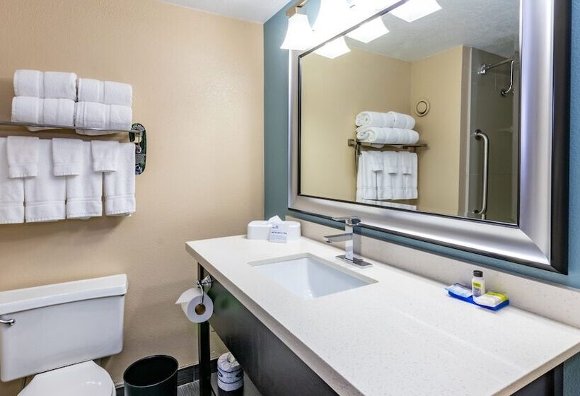 اتاق استاندارد, Holiday Inn Express Boise Downtown, An Ihg