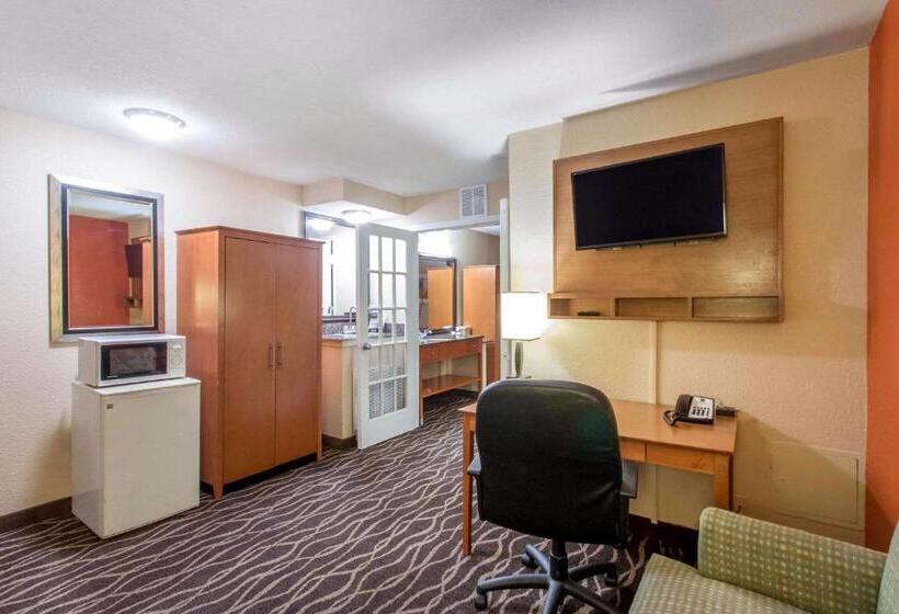 带大床的套房, Quality Inn & Suites I 35 Near Frost Bank Center