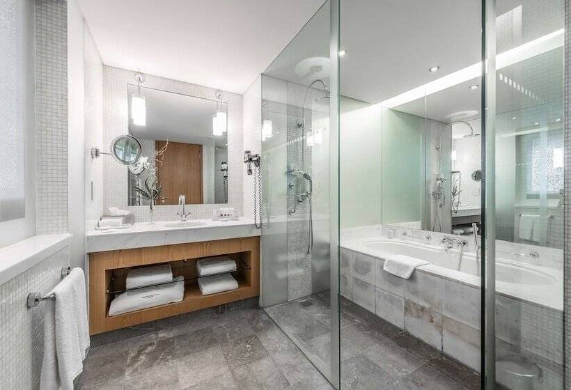 اتاق استاندارد با تخت دوبل, Swissotel Krasnye Holmy Moscow