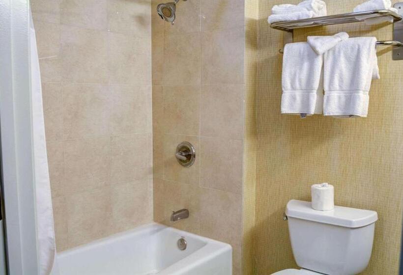 اتاق استاندارد, Tilt Hotel Universal Hollywood, Ascend Hotel Collection