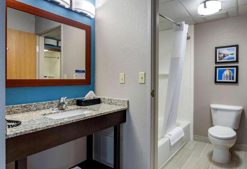 اتاق استاندارد با تخت بزرگ, Comfort Inn