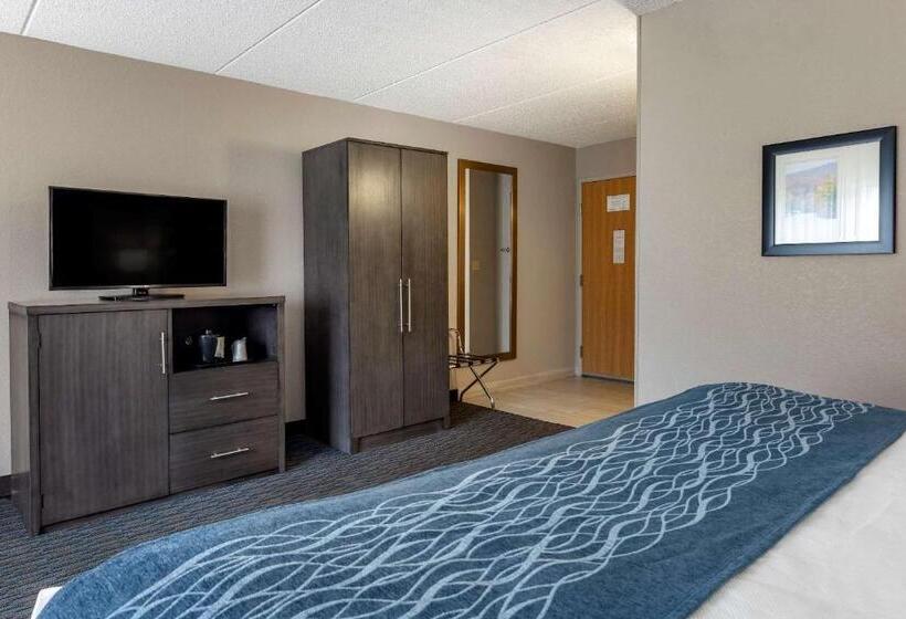 اتاق استاندارد با تخت بزرگ, Comfort Inn