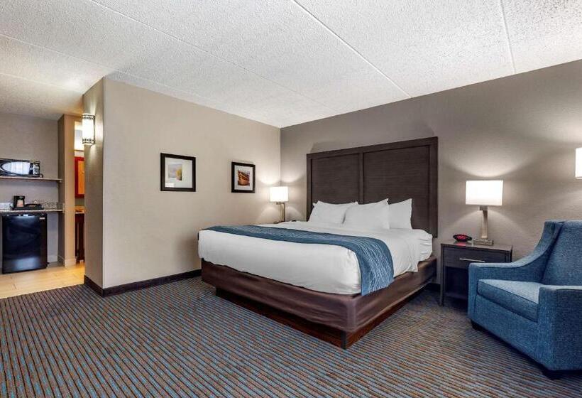 اتاق استاندارد با تخت بزرگ, Comfort Inn
