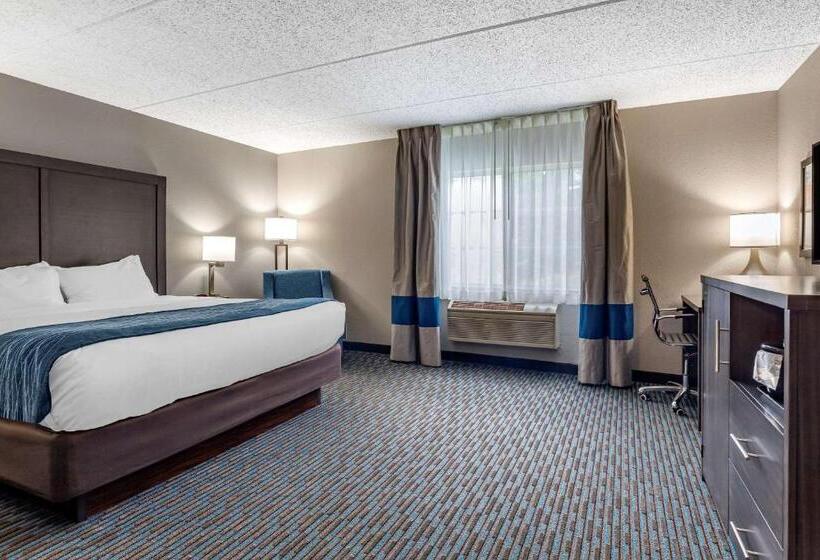اتاق استاندارد با تخت بزرگ برای معلولان, Comfort Inn