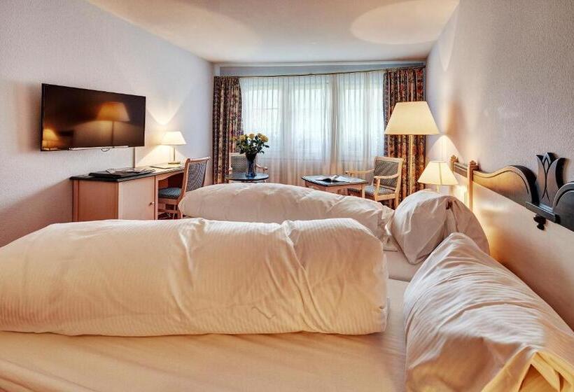 Номер Стандарт, Parkhotel Schwert