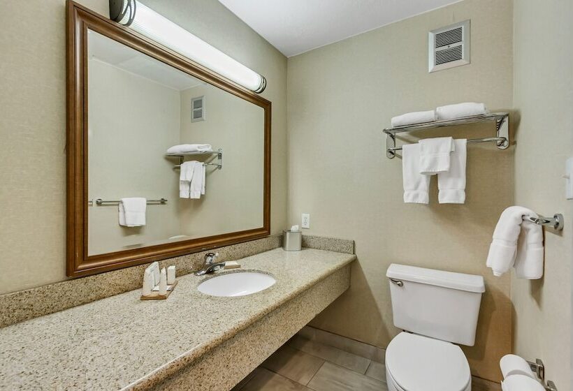 Номер Premium с Балконом, Radisson Hotel Salt Lake City Airport