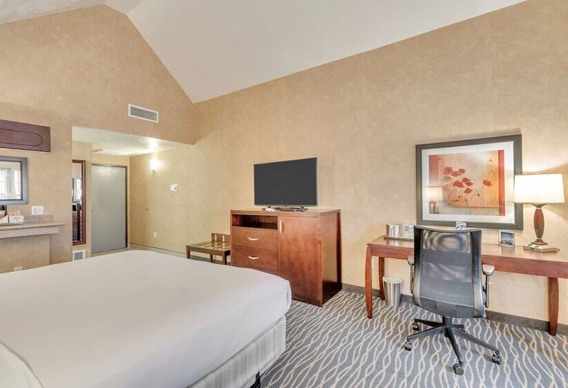 Номер Premium с Балконом, Radisson Hotel Salt Lake City Airport