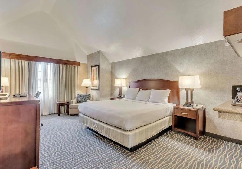 Стандартный Номер Кровать Кинг, Radisson Hotel Salt Lake City Airport