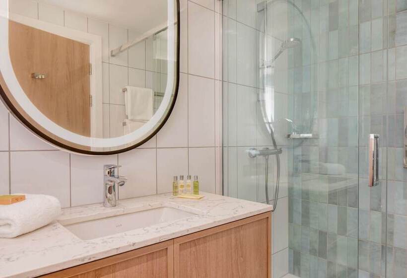 اتاق لوکس با تخت بزرگ, Hilton Dublin Airport