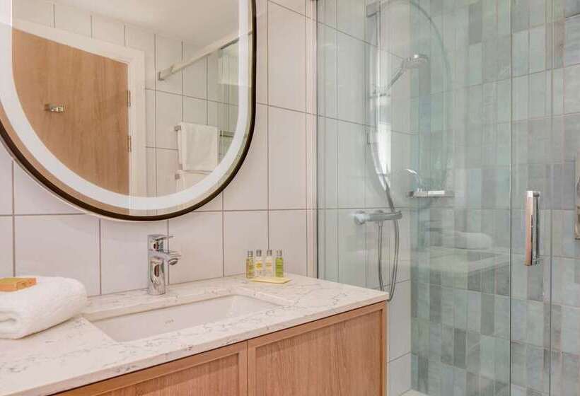 اتاق لوکس با تخت بزرگ, Hilton Dublin Airport