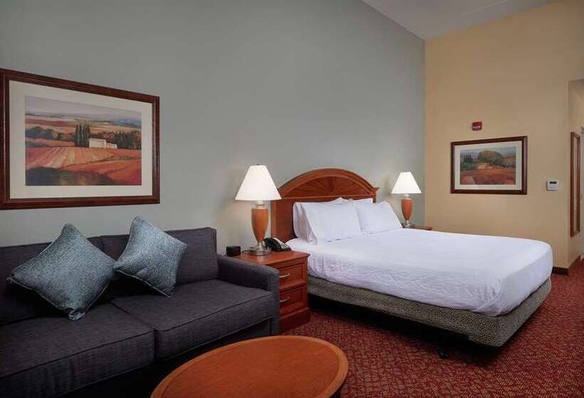 اتاق لوکس با تخت بزرگ, Hilton Dublin Airport