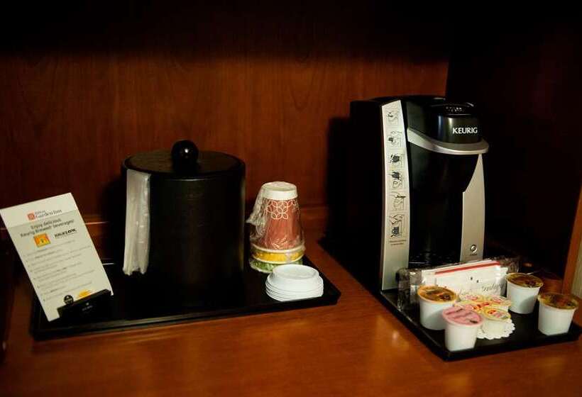 اتاق لوکس با تخت بزرگ, Hilton Dublin Airport