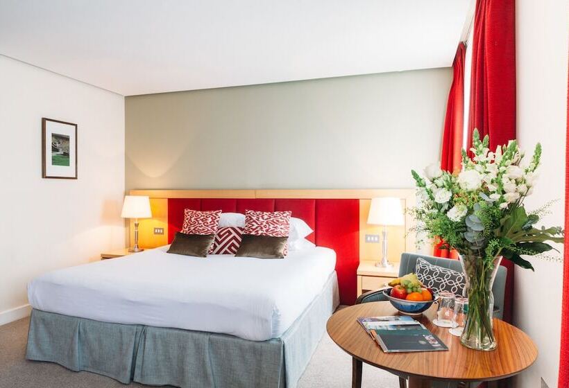 اتاق سوپریور با تخت بزرگ, Kilkenny Pembroke