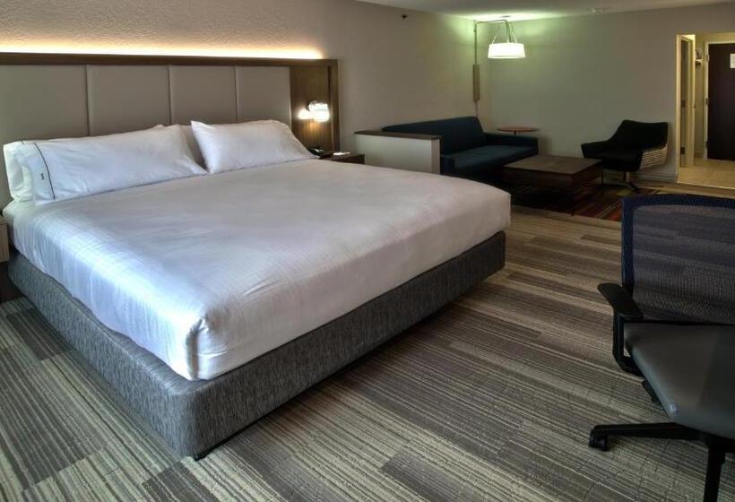 سوئیت با تخت بزرگ, Holiday Inn Express & Suites Evansville North, An Ihg