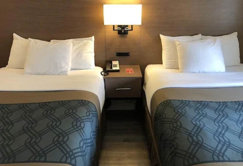 Standard Værelse 2 Dobbeltsenge, Econolodge Downtown Toronto