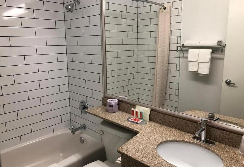 スタンダードルーム, Econolodge Downtown Toronto