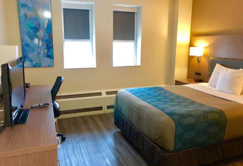 Standard Værelse, Econolodge Downtown Toronto