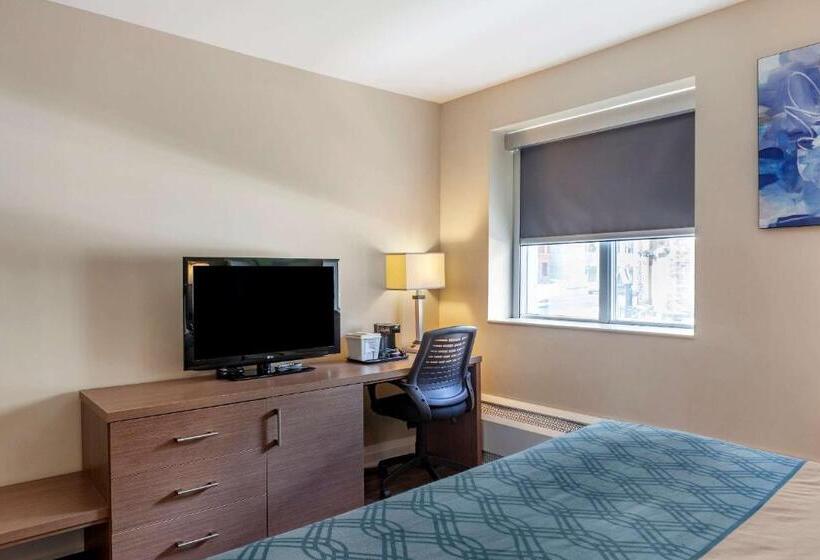 キングサイズベッドのスタンダードルーム, Econolodge Downtown Toronto