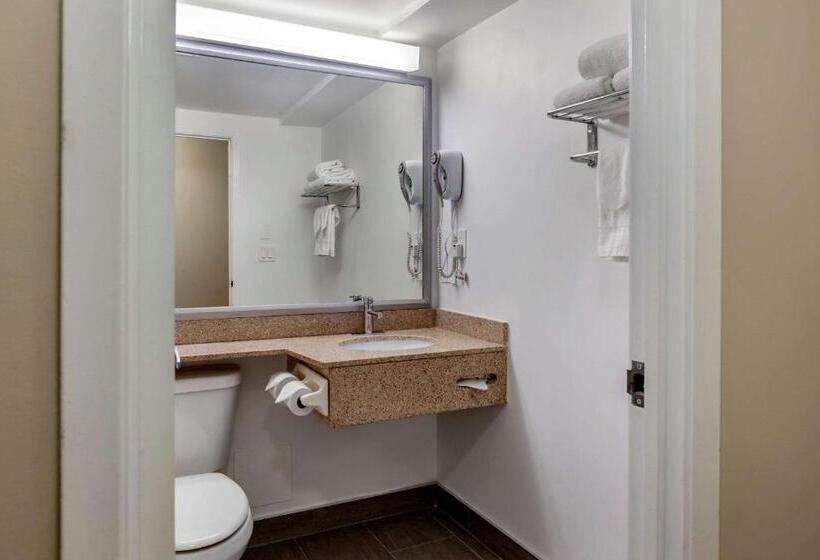 キングサイズベッドのスタンダードルーム, Econolodge Downtown Toronto
