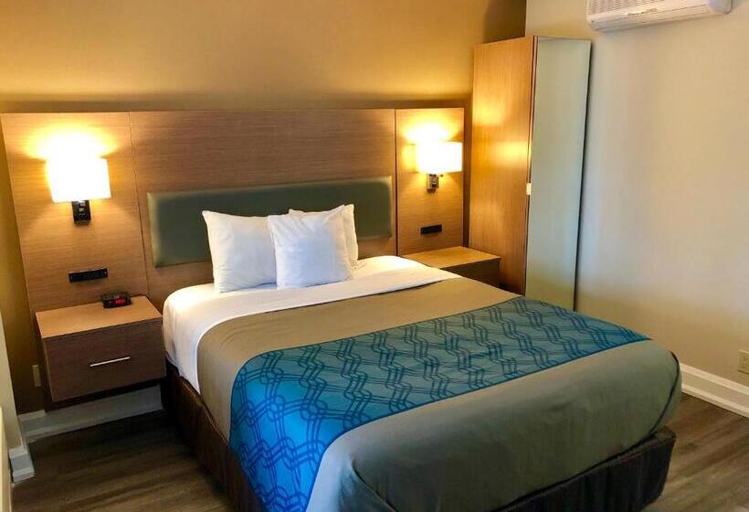 Standard Værelse King Size Seng, Econolodge Downtown Toronto