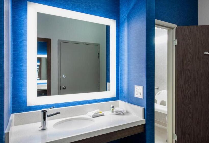 适合残疾人使用的标准间, Holiday Inn Express Hotel & Suites Saskatoon, An Ihg