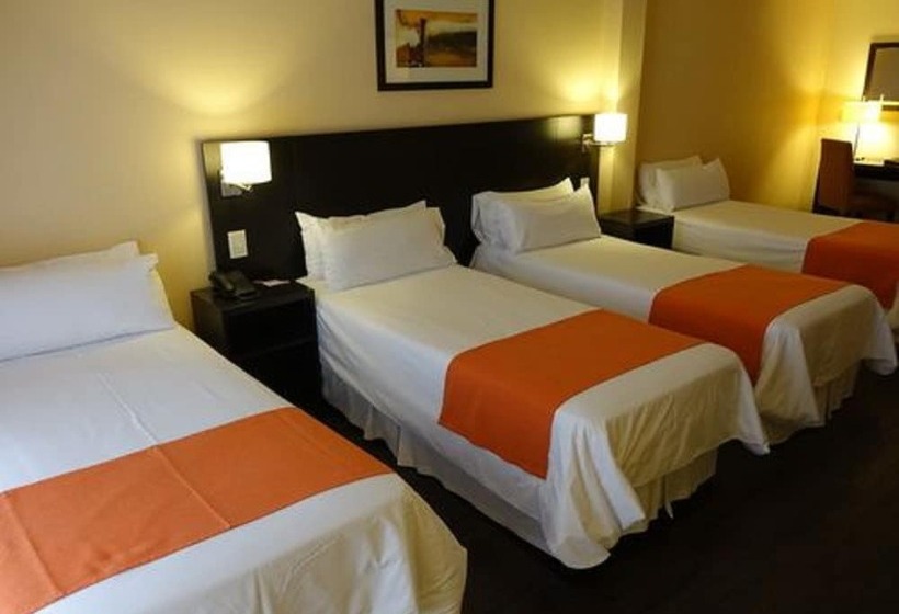 اتاق استاندارد چهار تخته, Duomi Hotel Buenos Aires
