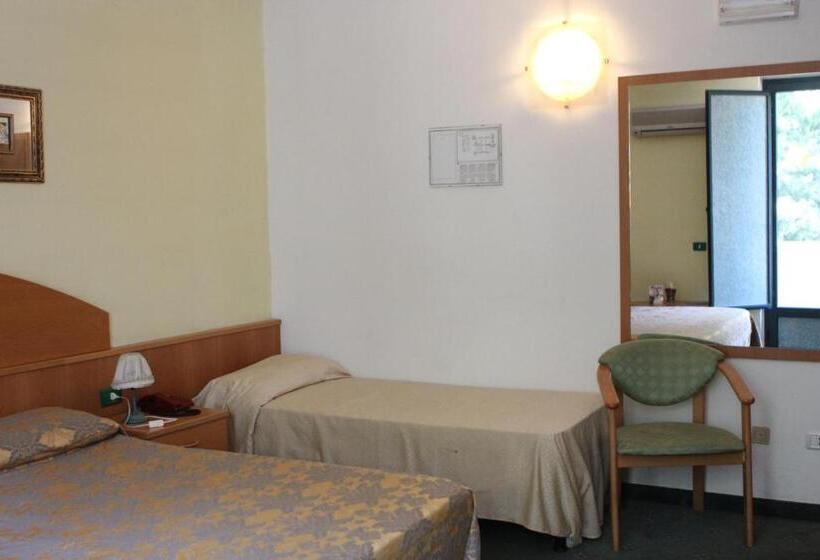 اتاق استاندارد سه نفره, Ascot Lodging
