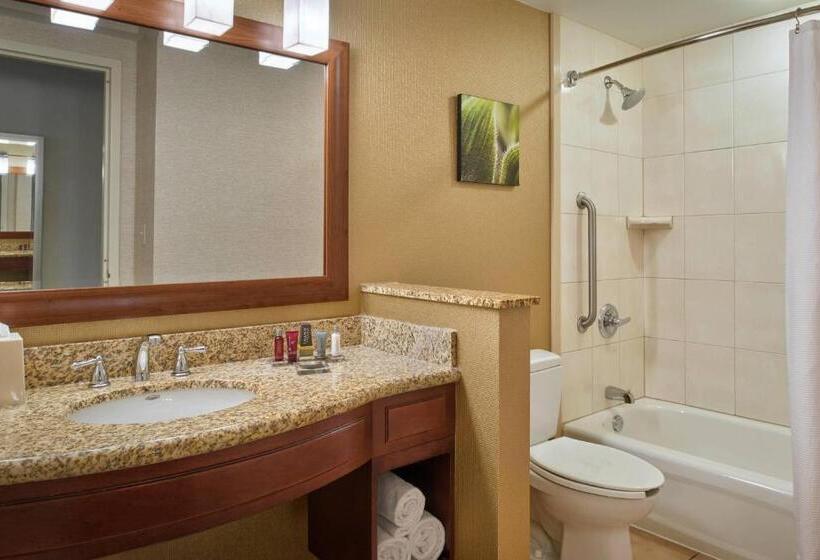 Quarto Standard para Deficientes, Chicago Marriott Midway