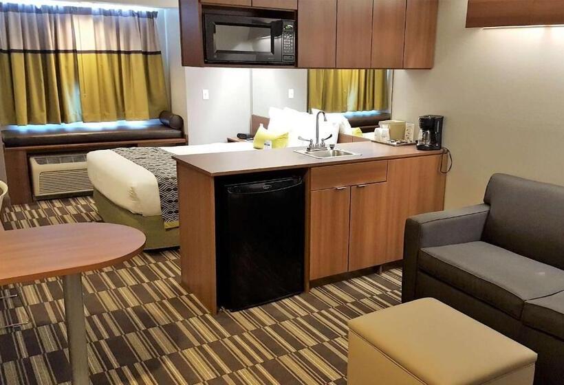 Студия Стандарт, Microtel Inn & Suites By Wyndham Bellevue