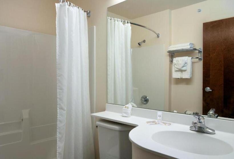 Номер Стандарт, Microtel Inn & Suites By Wyndham Bellevue