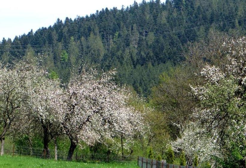 اتاق استاندارد سه نفره, Pensiunea Poiana De Vis