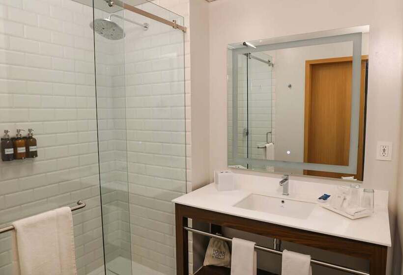 ２ダブルベッドのスタンダードルーム, Four Points By Sheraton Mexico City, Colonia Roma