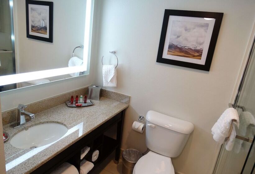 Номер Стандарт 2 Двуспальные Кровати, Best Western Premier Denver East