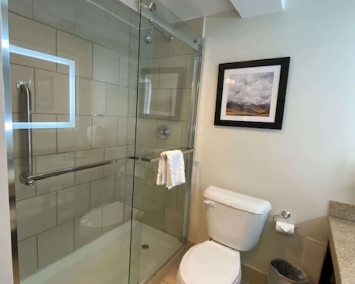 Номер Стандарт Двуспальная Кровать, Best Western Premier Denver East