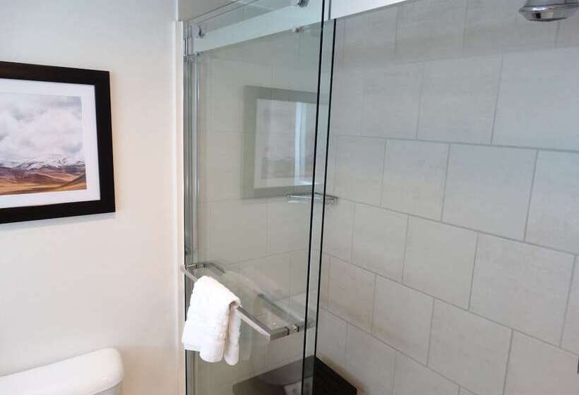 Номер Стандарт Двуспальная Кровать, Best Western Premier Denver East