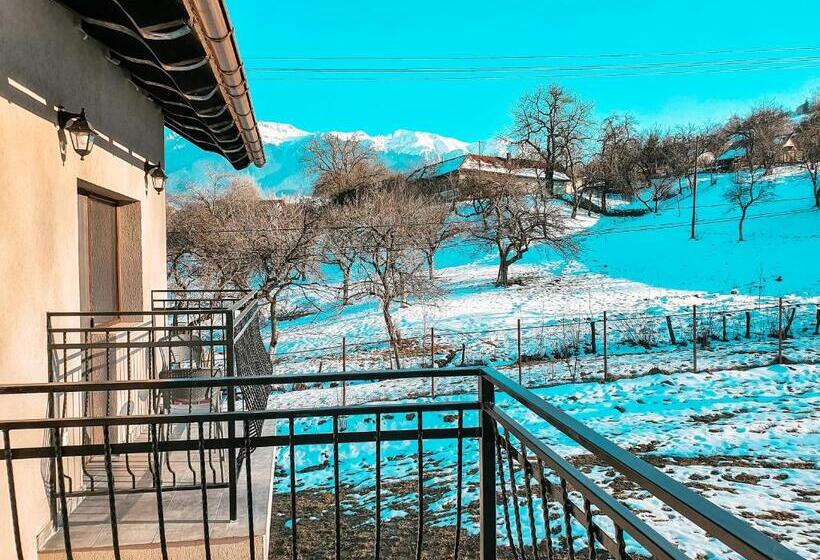 豪华房间, Transylvania Mountain View Cdi