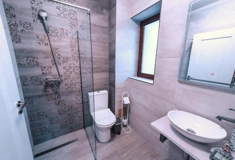 带大床的豪华间, Transylvania Mountain View Cdi