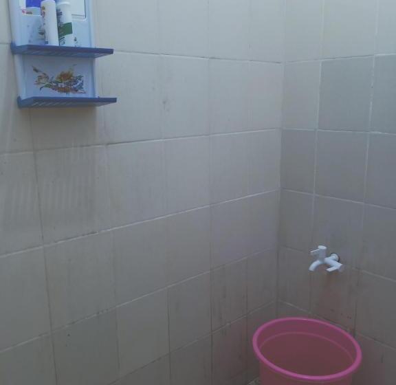 Номер Стандарт, Kost Backpacker