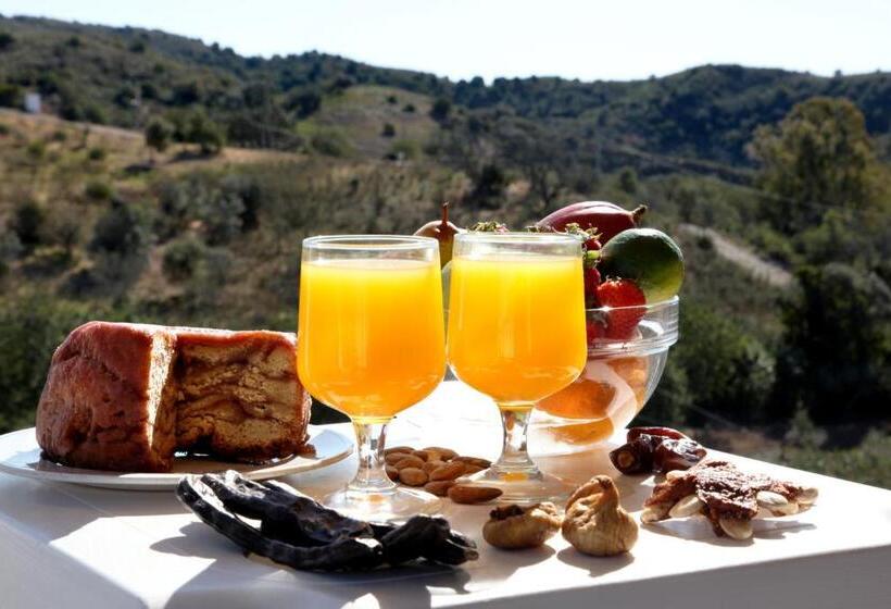 اتاق استاندارد, Herdade Da Corte