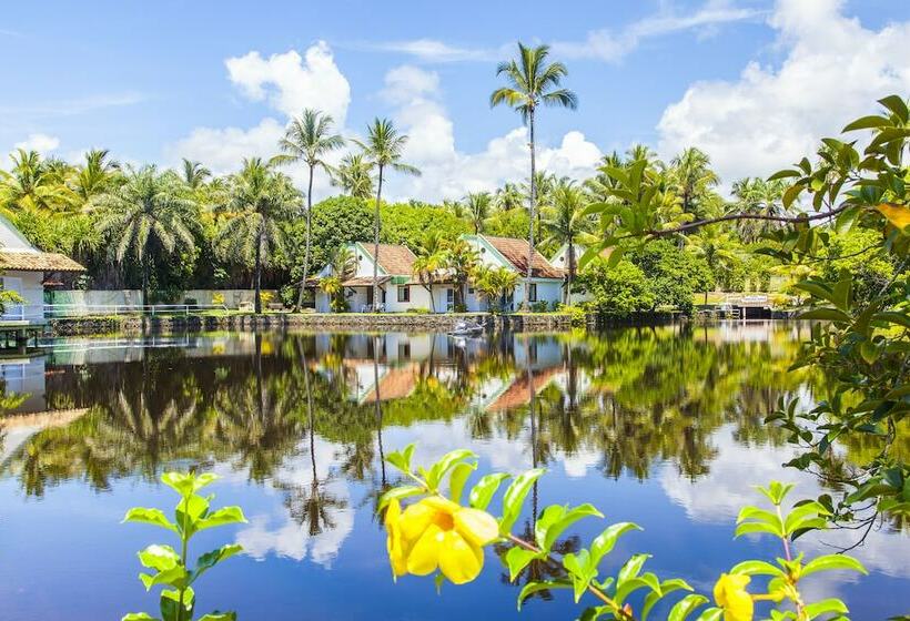 Номер Стандарт, Resort Tororomba