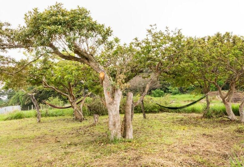 Номер Стандарт, Monteverde Ecolove