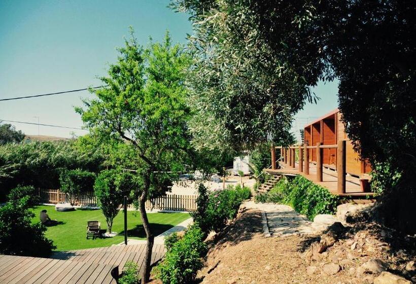 Номер Стандарт Совместная Ванная, Good Feeling Hostel & Guest House