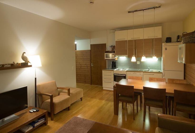 Апартаменты 2 Спальни, Lapland Hotels Saaga
