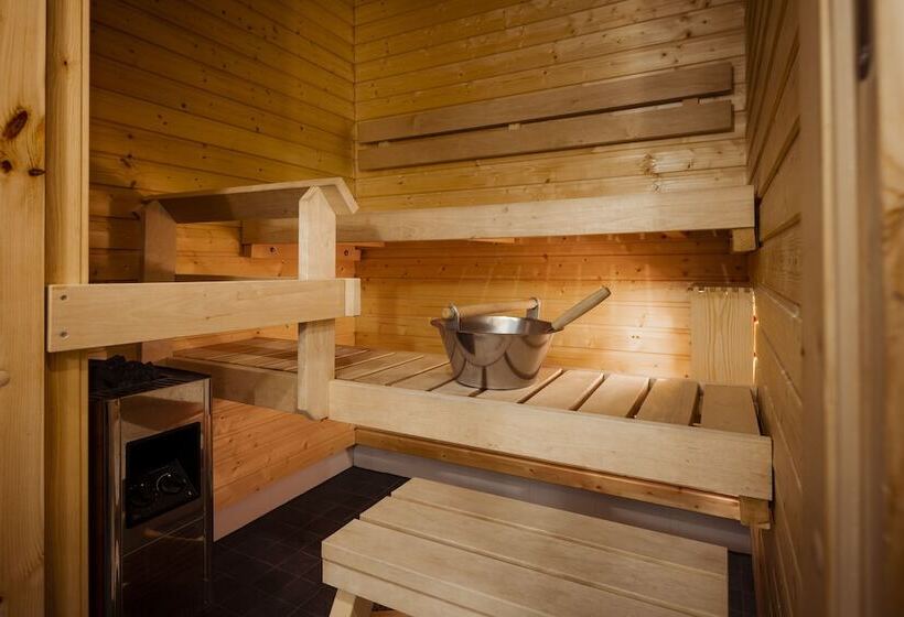 Апартаменты 1 Спальня, Lapland Hotels Saaga