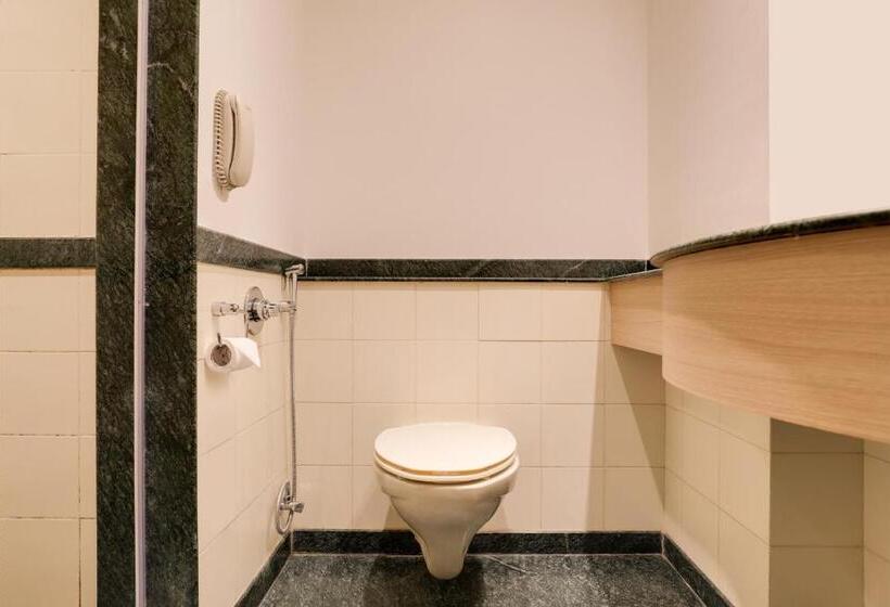 Номер Executive, Lemon Tree Hotel Hinjewadi Pune