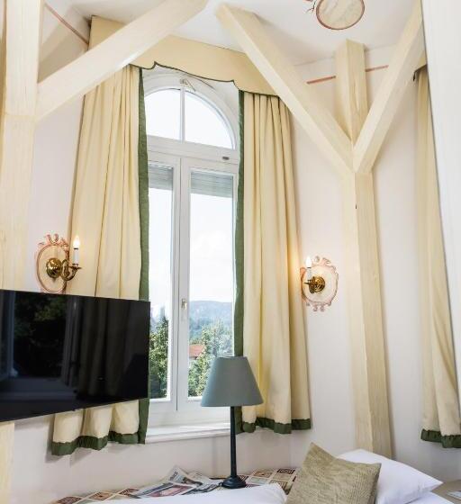 اتاق عادی یک تخته, Dermuth Hotels – Parkvilla Wörth
